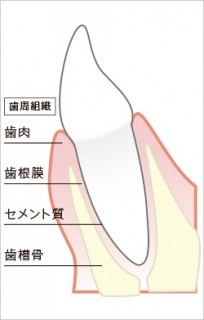 健康な状態